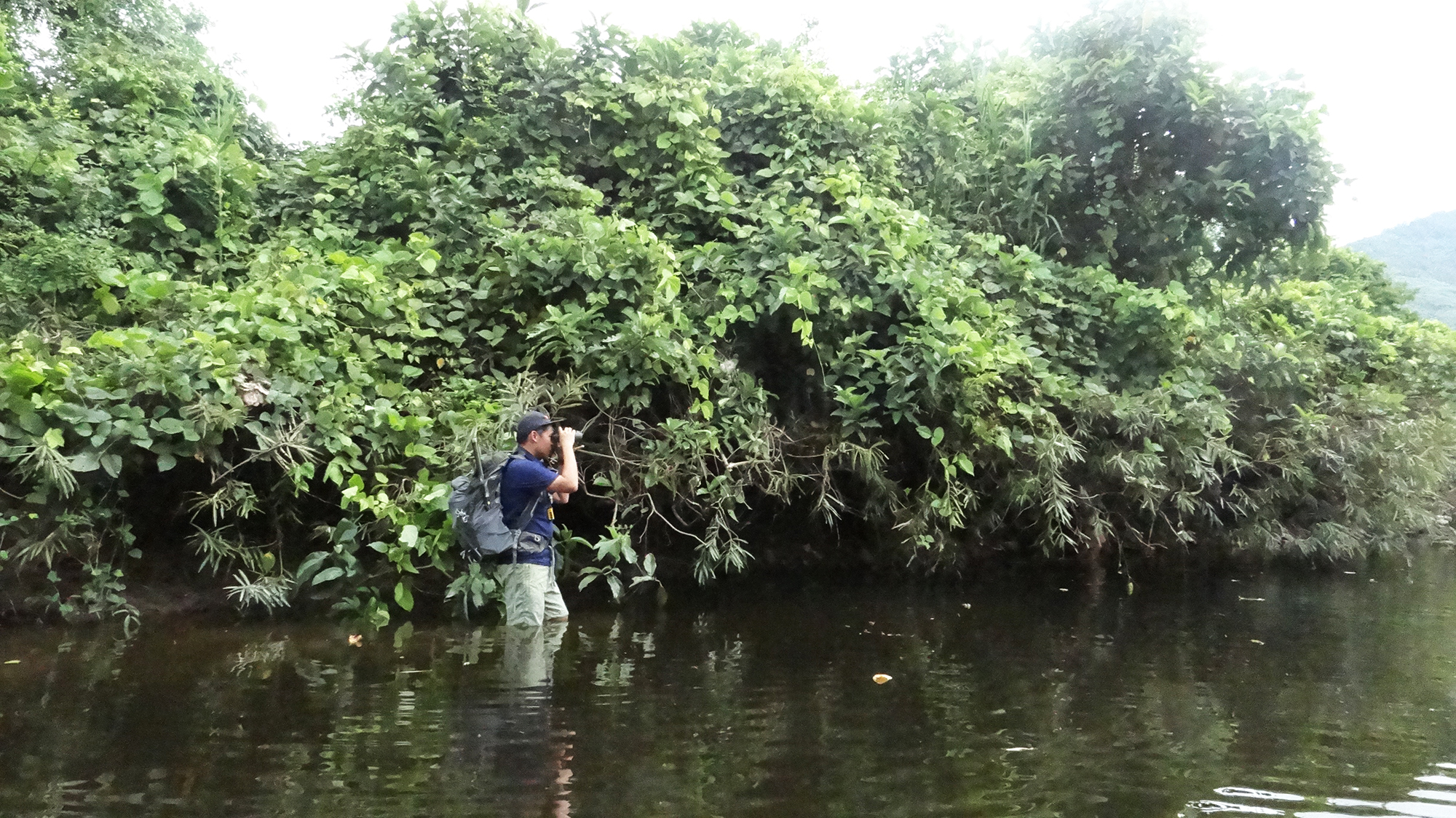 DSC02947 Line transect survey in Z village
